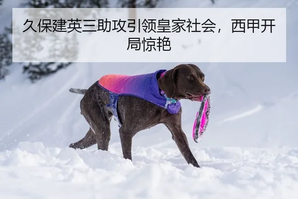 久保建英三助攻引领皇家社会，西甲开局惊艳
